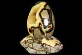 Polished Septarian Egg with Stand - Madagascar #118145-2